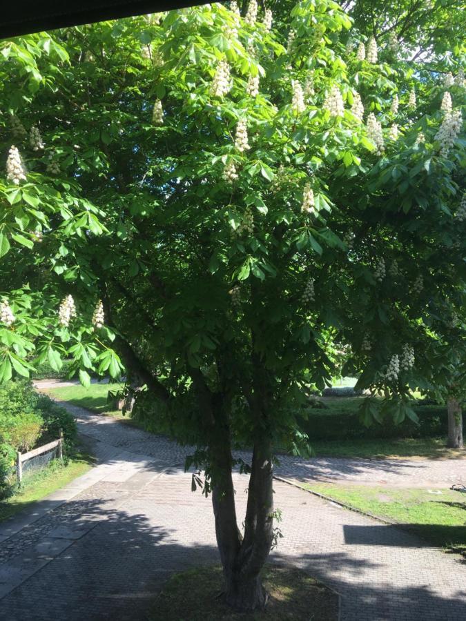 Ferienwohnung Kastanienblick Oder Parkblick, Oder Unser Radlerzimmer! Ziethen  ภายนอก รูปภาพ