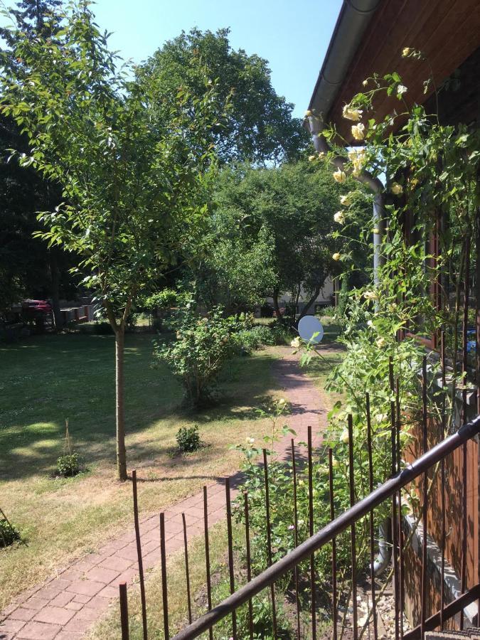 Ferienwohnung Kastanienblick Oder Parkblick, Oder Unser Radlerzimmer! Ziethen  ภายนอก รูปภาพ