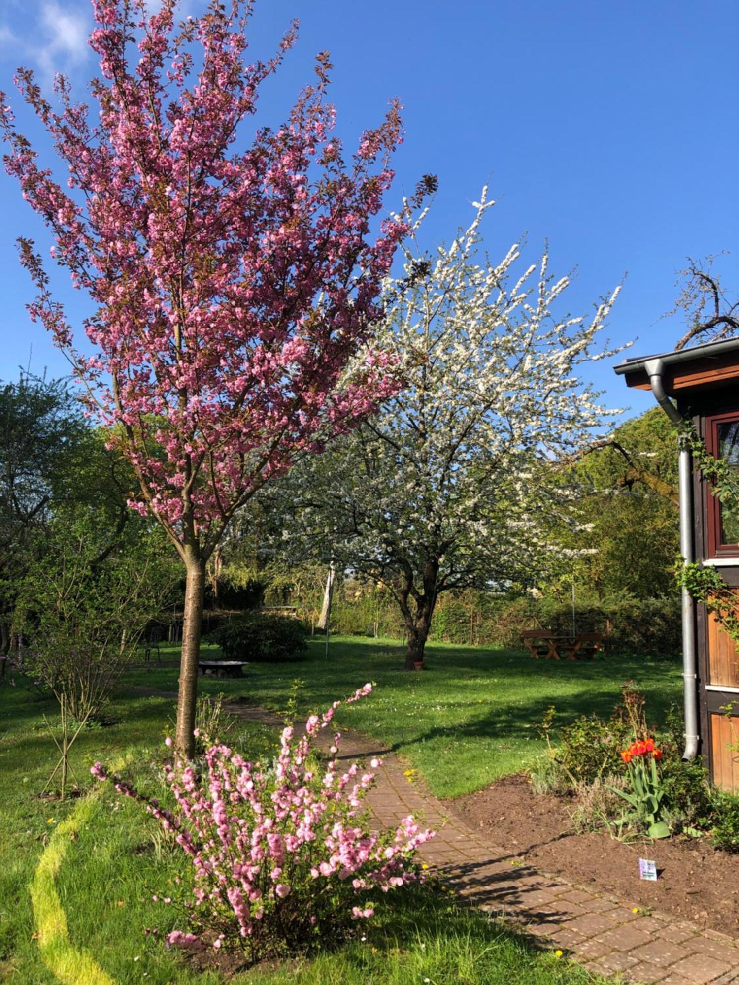 Ferienwohnung Kastanienblick Oder Parkblick, Oder Unser Radlerzimmer! Ziethen  ภายนอก รูปภาพ